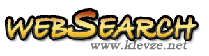 Web Search